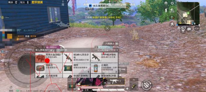 火焰鸟直装和平精英 - 热门辅助一键启用